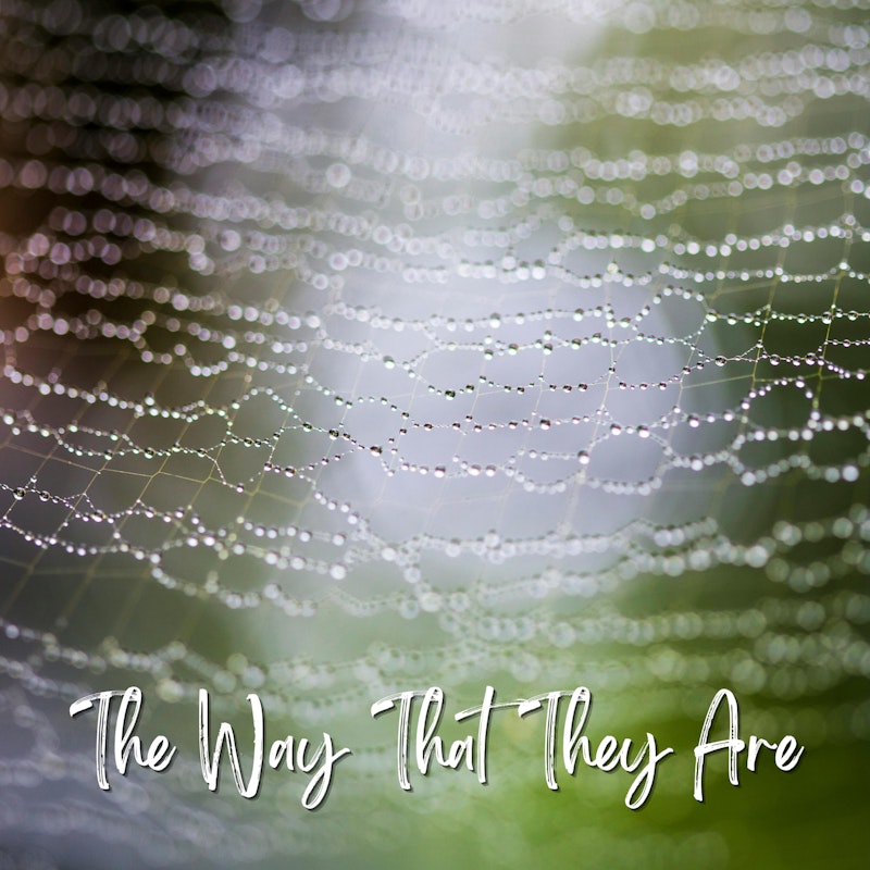 The Way That They Are - Taylor's Version